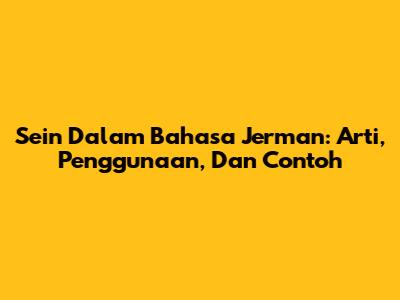 Sein Dalam Bahasa Jerman: Arti, Penggunaan, Dan Contoh