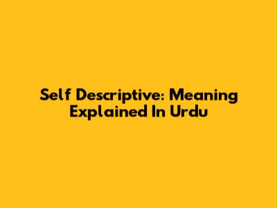 Self Descriptive: Meaning Explained In Urdu