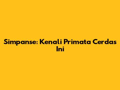 Simpanse: Kenali Primata Cerdas Ini