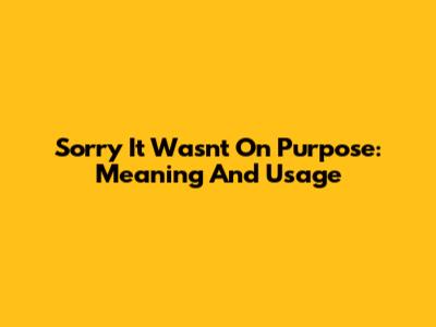 Sorry It Wasn't On Purpose: Meaning And Usage