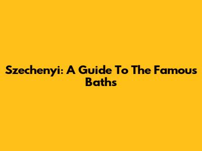 Szechenyi: A Guide To The Famous Baths