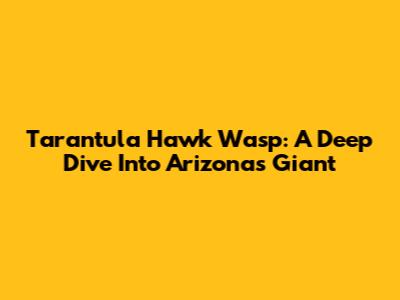 Tarantula Hawk Wasp: A Deep Dive Into Arizona's Giant