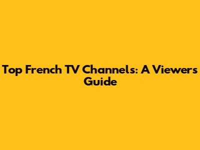Top French TV Channels: A Viewer's Guide