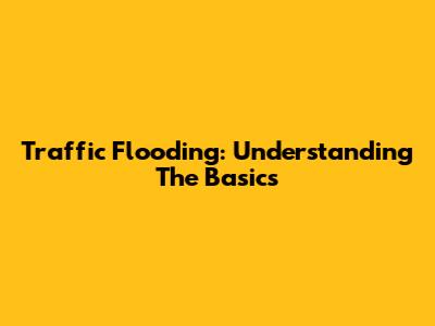 Traffic Flooding: Understanding The Basics