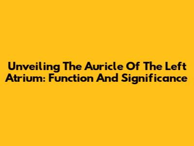 Unveiling The Auricle Of The Left Atrium: Function And Significance