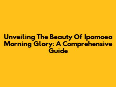 Unveiling The Beauty Of Ipomoea Morning Glory: A Comprehensive Guide