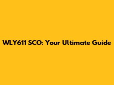 WLY611 SCO: Your Ultimate Guide